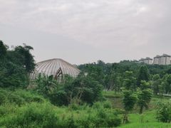 -金海湾滨江公园