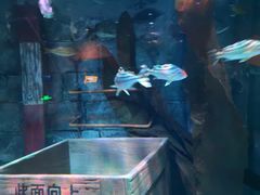 -沈阳海洋探索中心