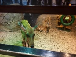 -酷嗒动物文化乐园(cutezoo西溪乐天城店)