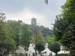 -深圳国际园林花卉博览园