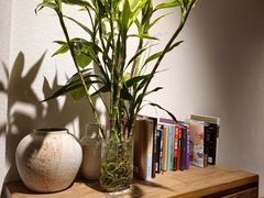 -煮叶(悠唐广场店)