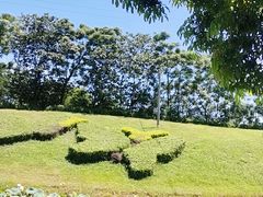 -露天矿生态公园