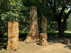 -国家植物园南园