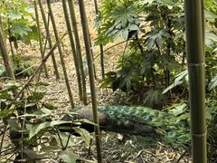 -苏州环秀晓筑养生度假村
