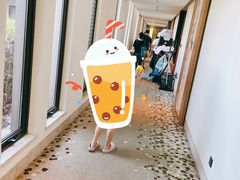-上海崇明金茂凯悦酒店