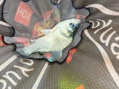 -酷鱼垂钓CLUB(朝阳区博大路店 )