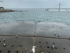 -星海广场