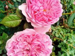 -人民公园(罗湖区)