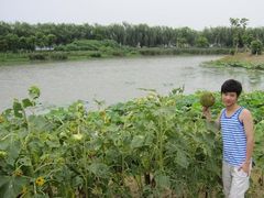 -艾溪湖湿地公园