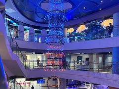 -苏州青少年科技馆