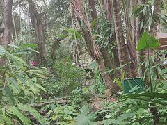 -海南热带野生动植物园