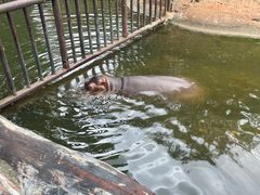 -海南热带野生动植物园