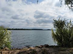 -漕湖湿地公园
