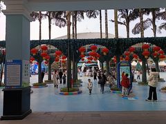 -海合安成都极地海洋公园