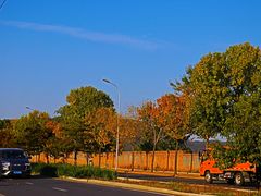 -北京西山国家森林公园