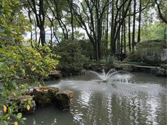 -上海醉白池公园