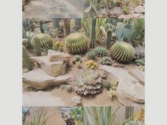 -桉树林A coffee 森林餐厅(三圣乡店)