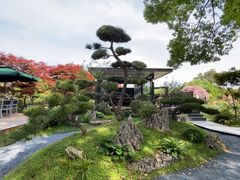 -上海鲜花港