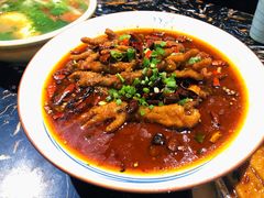 -熊猫家新派川菜(百里一·龙兴集店)