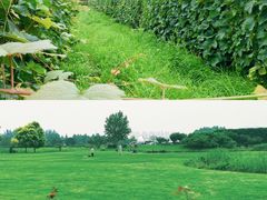 -安德鲁户外烧烤帐篷营地(马泉营店)