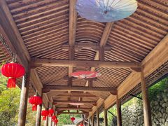 -宁波浙东大竹海景区