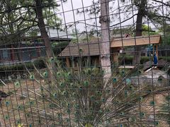 -有喜胶东小馆(超极合生汇太申祥和店)