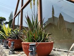 -三圣花乡旅游区