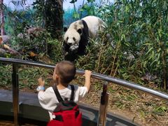 -陕西自然博物馆