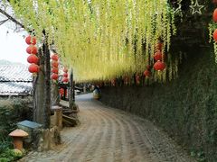 -观澜山水田园