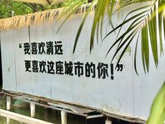 -芭厘·农庄老字号.电饭煲五指毛桃焗鸡