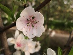 -上海大学嘉定校区-食堂