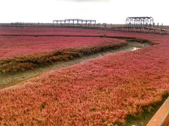 -红海滩国家风景廊道
