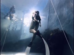 -苏州海洋馆