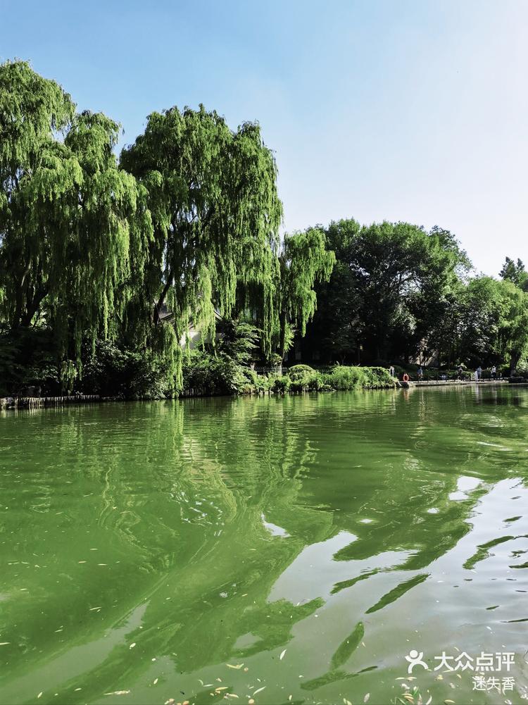 波光粼粼杨柳依依绽放的春意