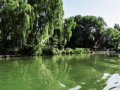 -济南大明湖景区