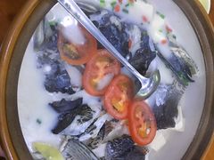 千岛湖浓汤鱼头-全乐鱼馆·淳牌有机鱼直营店