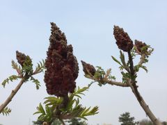 -卢沟桥文化旅游区