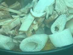 -蘑统田下·野生菌火锅