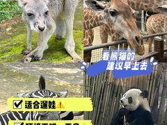 -泉州海丝野生动物世界