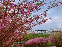 -东华大学(松江校区)