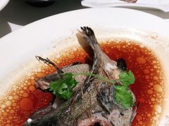 -顺峰(农展馆店)