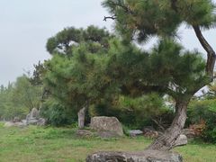 -汉长安城未央宫国家考古遗址公园