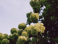 -苏州上方山国家森林公园