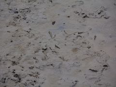 -北海金海湾红树林生态旅游区