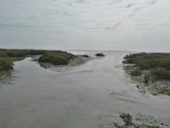 -北海金海湾红树林生态旅游区