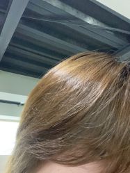 -T8 SALON