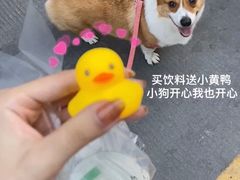 -LINLEE·手打柠檬茶(思北店)