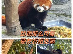 -常州淹城野生动物世界