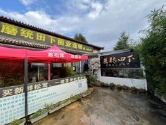 -蘑统田下·野生菌火锅