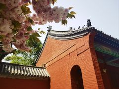 -洛阳白马寺